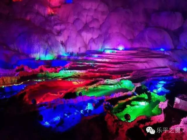 救援受困的鹭